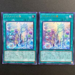 Ritual of Alamecia: 1 Siku, 1 UR, 2 total