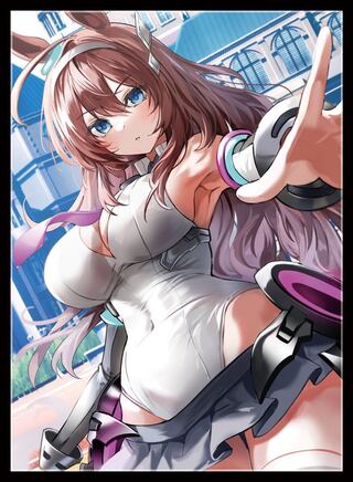 「ウマ娘」ミホノブルボン スリーブ 新品未開封