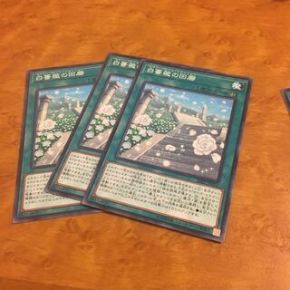 白薔薇の回廊 ノーマル