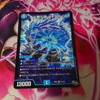 水上第九院 シャコガイル