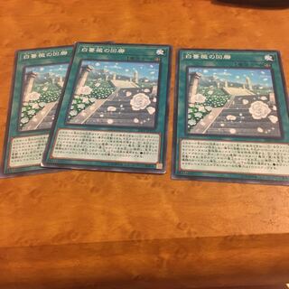 白薔薇の回廊 ノーマル