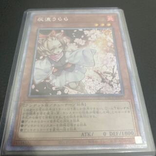 Ash Blossom & Joyous Spring Prismatic Secret Rare