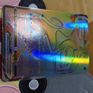 インテレオン VMAX HR 英語版