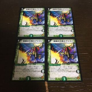 Capricorn, the Land of Reflection