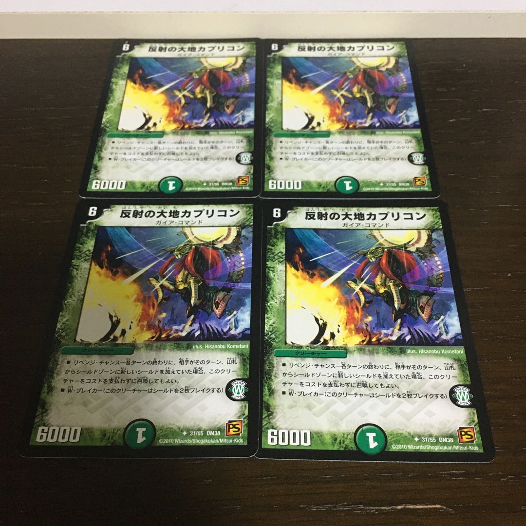 Capricorn, the Land of Reflection