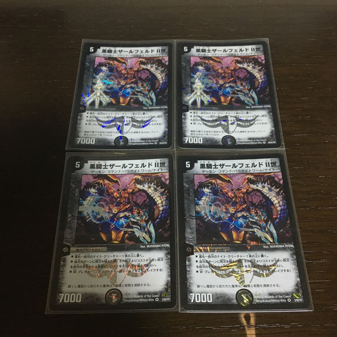 黒騎士ザールフェルドII世