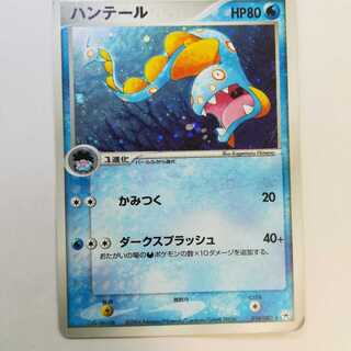 Pokemon Card Huntail