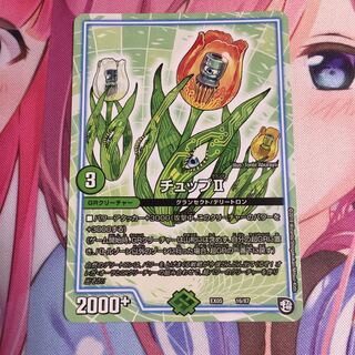 キャンペーン便乗特価  チュップⅡ