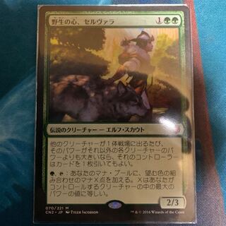 野生の心、セルヴァラ