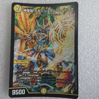 神聖龍 エモーショナル・ハードコア 1枚