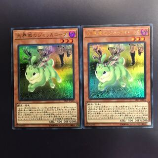 未界域のジャッカロープ　二枚