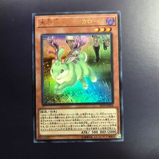 未界域のジャッカロープ　一枚