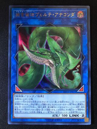 遊戯王　捕食植物ヴェルテ・アナコンダ　UR