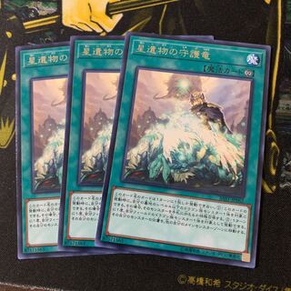 星遺物の守護竜