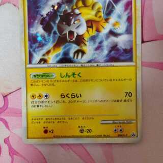 完美品　エンテイ　LEGEND プロモ