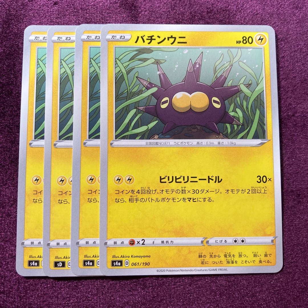 バチンウニ 4枚