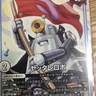 あなた様専用 1枚