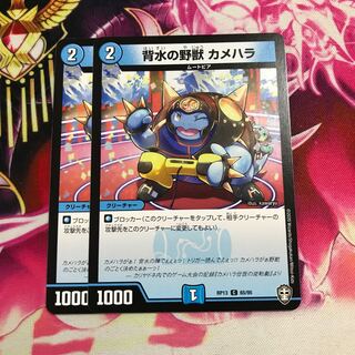 背水の野獣 カメハラ