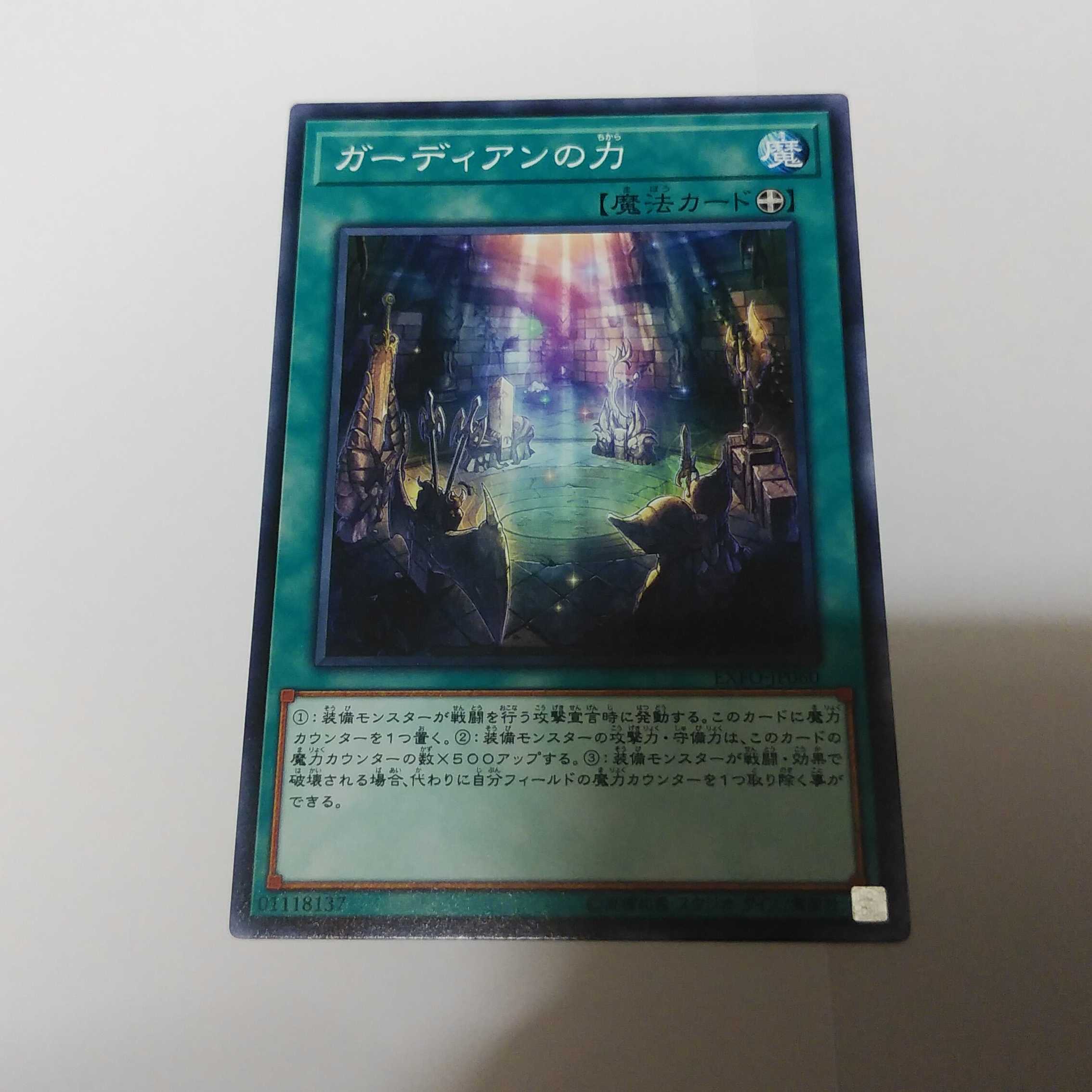 ガーディアンの力　単品　送料無料　まとめ買いでさらにお得