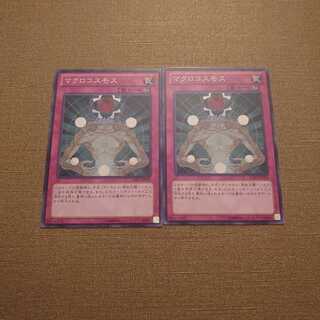 ⑫マクロコスモス ノーマル　2枚