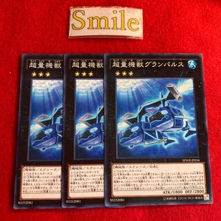 超量機獣グランパルス#2713