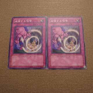 ⑫威嚇する咆哮 ノーマル　2枚