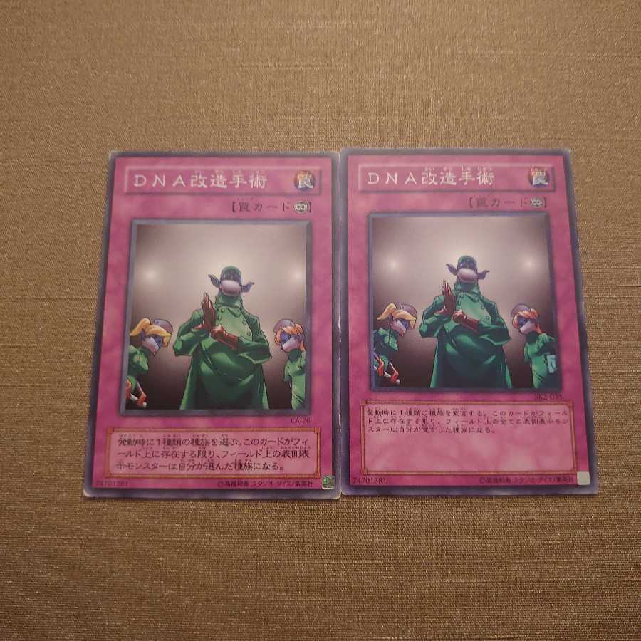 ⑫DNA改造手術 ノーマル　2枚