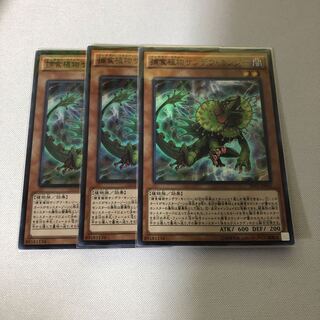 捕食植物サンデウ・キンジー　スーパー3枚