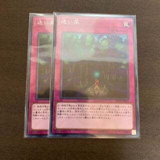 迷い風 ノーマル　2枚