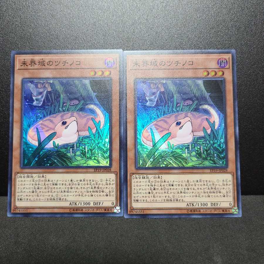 未界域のツチノコ【スーパー】