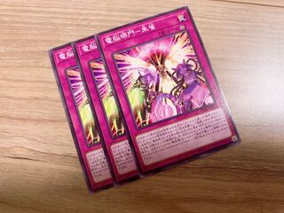 電脳堺門-朱雀 ノーマル　3枚♡おまけ付き♡