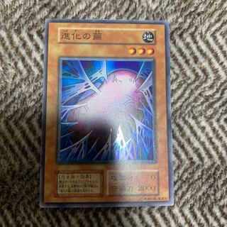 遊戯王 初期　進化の繭　　スーパーレア　未使用 美品 遊戯王 進化の繭 初期 スーパーレア 極美品の通販 さち