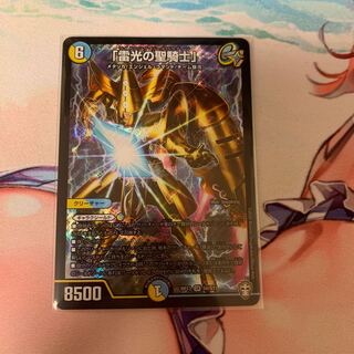 「雷光の聖騎士」