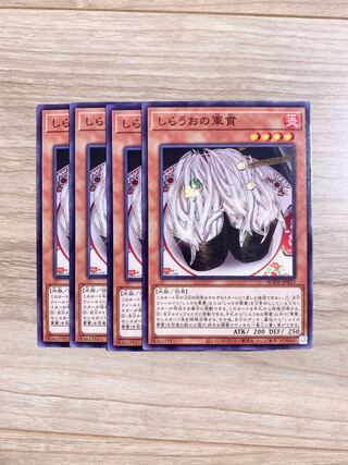 Gunkan Suship Shirauo Normal 4 handsome handsome handsome