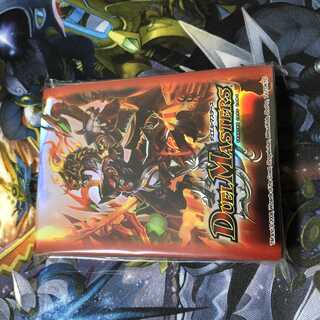 46枚　戦極竜ヴァルキリアス・ムサシ　dxカードプロテクト