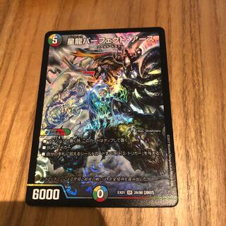 星龍パーフェクトアース