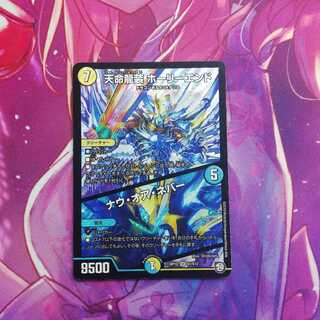 天命龍装 ホーリーエンド/ナウ・オア・ネバー