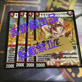 4 sheets Momostar Canberra