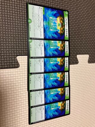 フェアリー・ミラクル6枚セット！