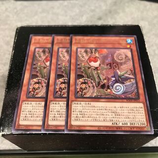 ふわんだりぃず×ろびーな レア3枚