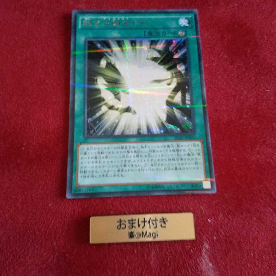 熱き決闘者たち パラレル シークレットレア