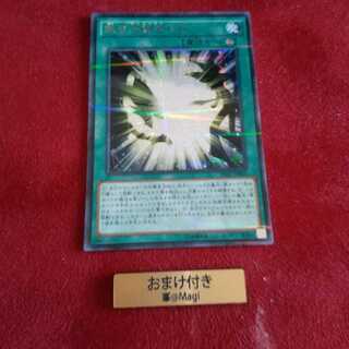 熱き決闘者たち パラレル シークレットレア