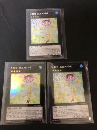 Multiple purchases at the same time, shipping discount. 3 Rikka Queen Strenna Super Rare, Korean version.
