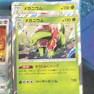 ホグライダー様専用　メガニウム