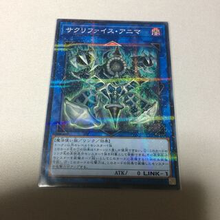 サクリファイスアニマ ノーパラ