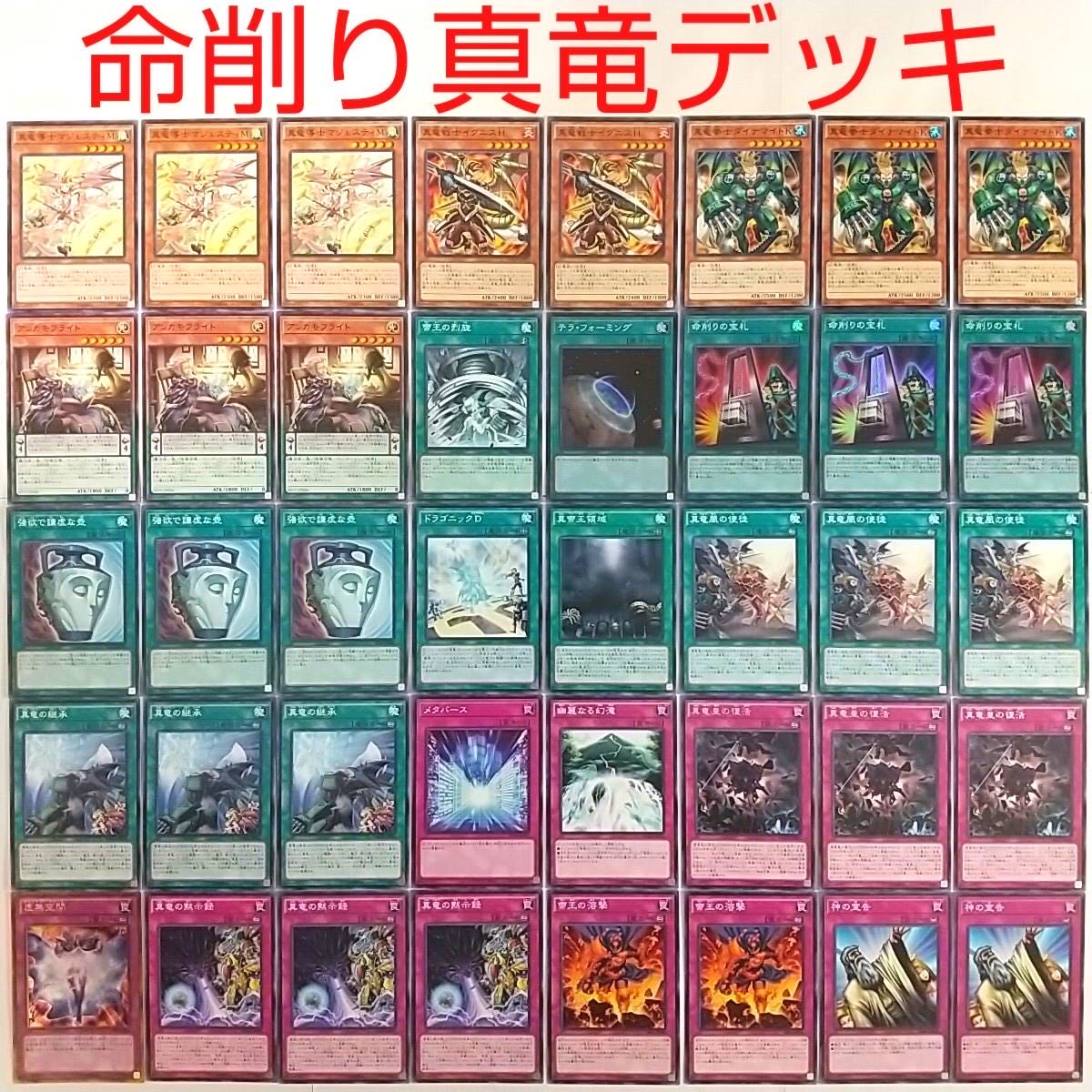 【遊戯王 デッキ】命削りの宝札 真竜の継承 真竜凰の使徒 真竜の黙示録 虚無空間
