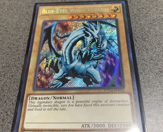 英ブルーアイズドラゴン