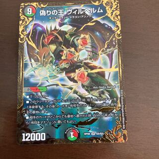 偽りの王 ヴィルヘルム 完全無名様専用