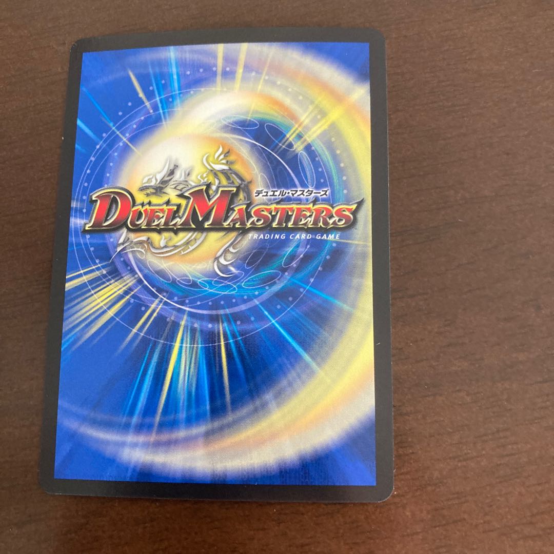 偽りの王 ヴィルヘルム 完全無名様専用