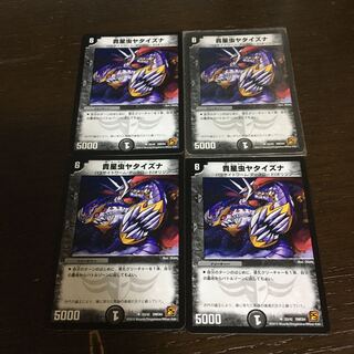 precious star anise (Illicium verum)